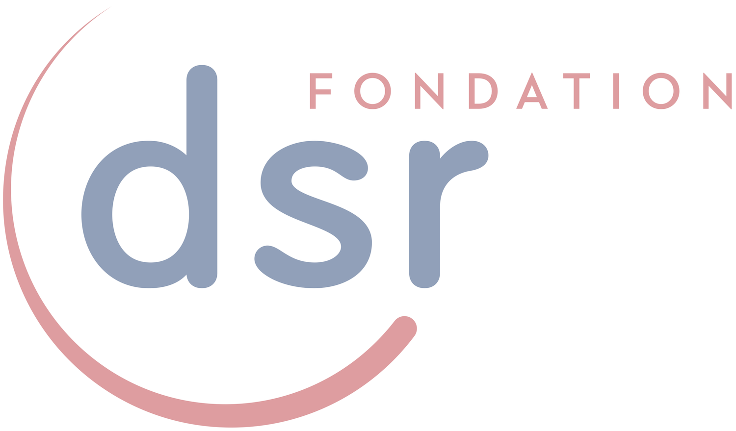 Logo de la fondation DSR